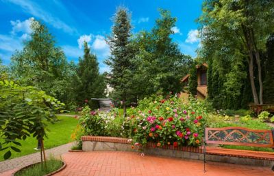 photo 63f3daee4ab49_thumb.jpg