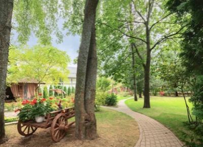 photo 6709147982d6d_thumb.jpg