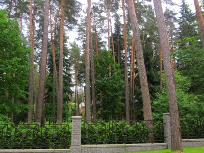 photo 63f3ddb5057fa_thumb.jpg