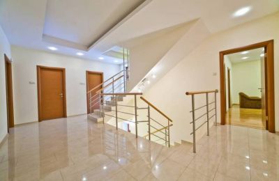 photo 63f3df3f773b4_thumb.jpg