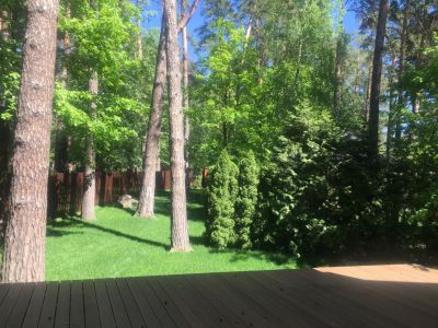 photo 63f3eab6b1634_thumb.jpg