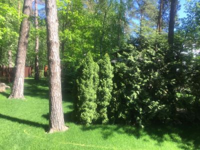 photo 63f3eab77755e_thumb.jpg