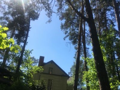 photo 63f3eab832058_thumb.jpg