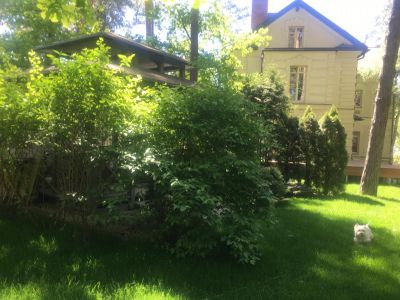 photo 63f3eab882f59_thumb.jpg