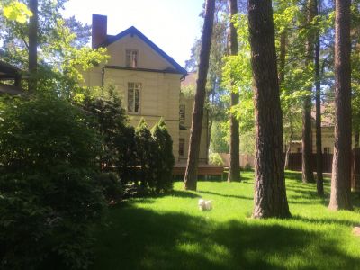 photo 63f3eaba81631_thumb.jpg