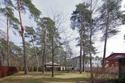 photo 63f3eabc2d3d6_thumb.jpg