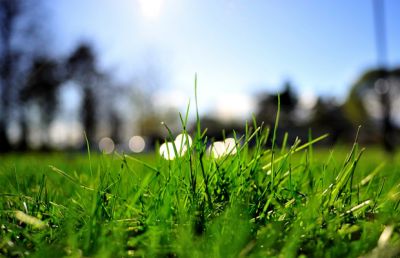 photo 63f3eace2a4b3_thumb.jpg