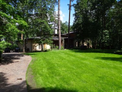 photo 63f3ee92da2d6_thumb.jpg