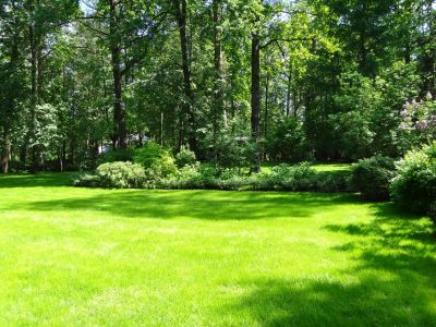 photo 63f3ee93a513f_thumb.jpg