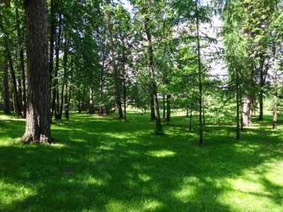 photo 63f3ee989adc4_thumb.jpg