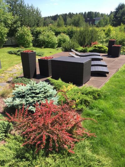 photo 68b03ac6b8eaa_thumb.jpg