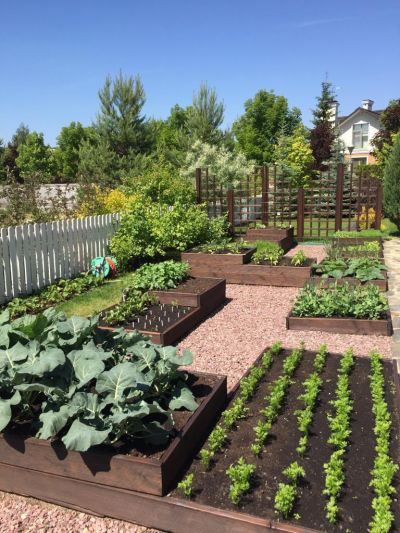 photo 68b03ad3bec95_thumb.jpg