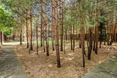 photo 63ff0dfbc37b5_thumb.jpg