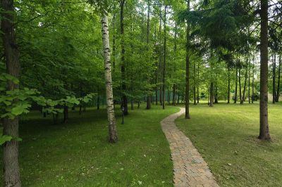 photo 63ff0e1da92eb_thumb.jpg