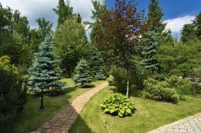 photo 63ff0e1e16afd_thumb.jpg