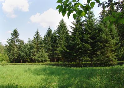 photo 63ff0eabc72db_thumb.jpg