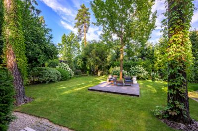 photo 645291e7c8986_thumb.jpg