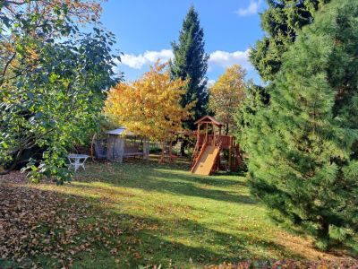 photo 645292516fe6c_thumb.jpg