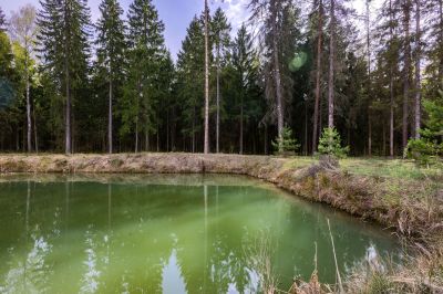 photo 645292c61d50f_thumb.jpg