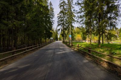 photo 645292c83a270_thumb.jpg