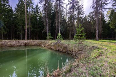 photo 645292c9437f5_thumb.jpg