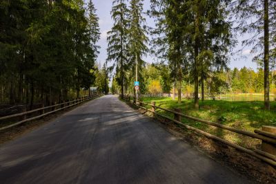 photo 645292ca65376_thumb.jpg