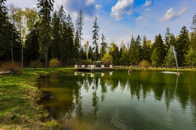 photo 645292cd95085_thumb.jpg