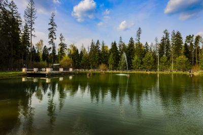 photo 645292cea11ab_thumb.jpg