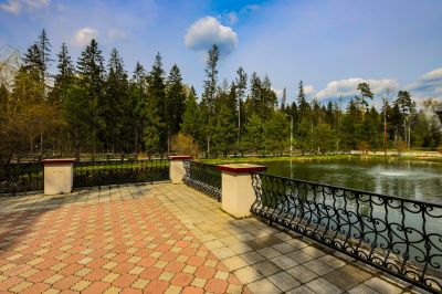 photo 645292cfa413d_thumb.jpg