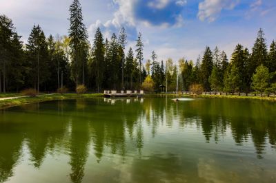 photo 645292d3bde2b_thumb.jpg