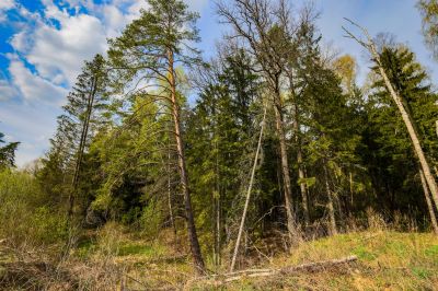 photo 645292d95470d_thumb.jpg