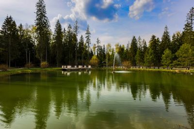 photo 645292dfaed85_thumb.jpg