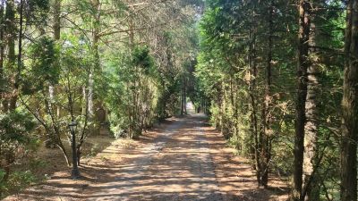 photo 6495614986beb_thumb.jpg