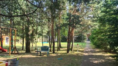 photo 6495614a67210_thumb.jpg