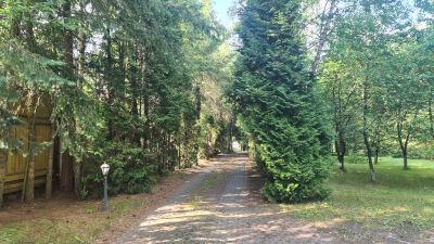 photo 6495614b3fc0d_thumb.jpg