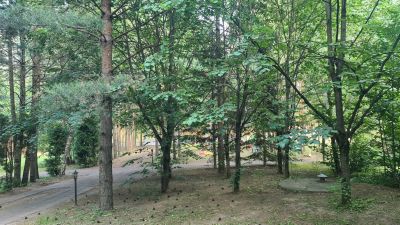 photo 6495614c1ca59_thumb.jpg