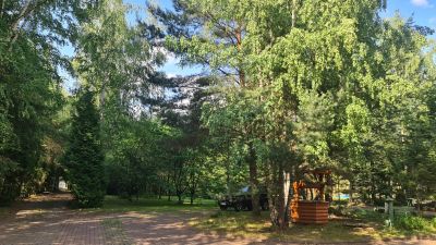 photo 6495614cf21a2_thumb.jpg