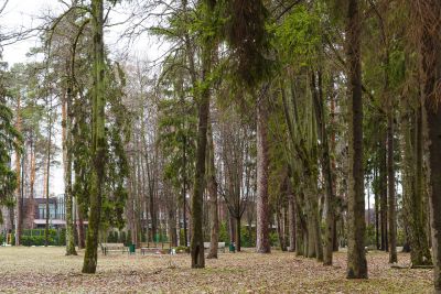 photo 6452943130884_thumb.jpg