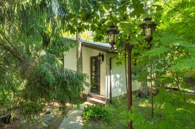 photo 6465f90c57b2b_thumb.jpg