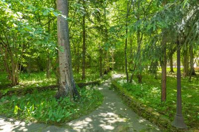 photo 6465f90d0d4eb_thumb.jpg