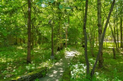 photo 6465f90db5c22_thumb.jpg