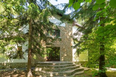 photo 6465f9120ceeb_thumb.jpg