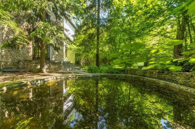 photo 6465f9141bf8a_thumb.jpg