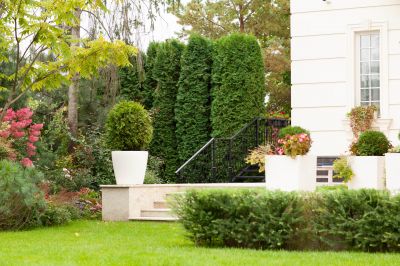 photo 6452960470706_thumb.jpg