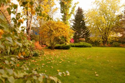 photo 64529608a43f8_thumb.jpg