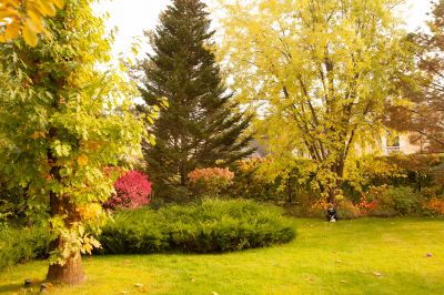 photo 64529613d65e8_thumb.jpg