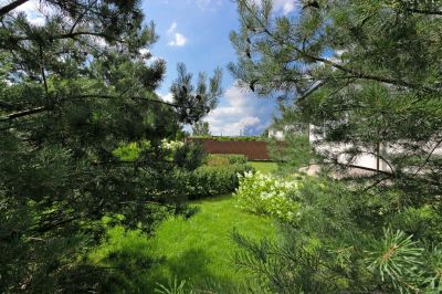 photo 64529653891d9_thumb.jpg