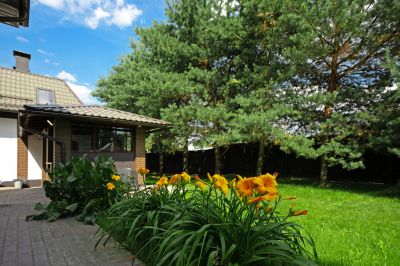 photo 64529662da52c_thumb.jpg