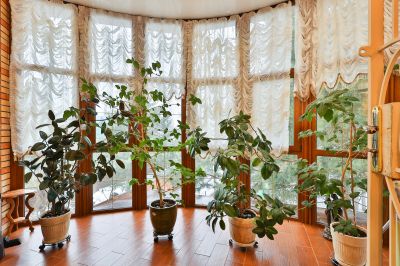 photo 645297f2a37c3_thumb.jpg