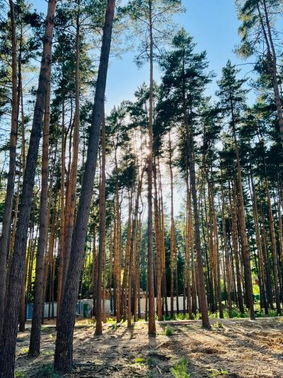 photo 6452983bcc9d3_thumb.jpg